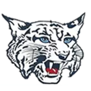 Charlotte Valley Wildcats