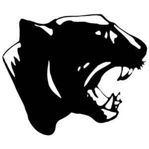 Edmeston Panthers
