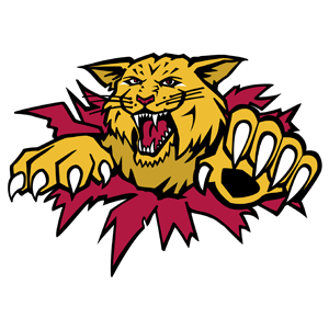 Hunter-Tannersville Wildcats