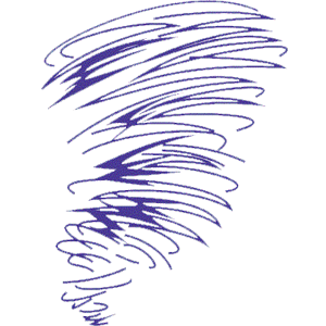 Norwich Purple Tornado