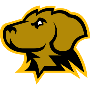 University of Maryland, Baltimore County Retrievers
