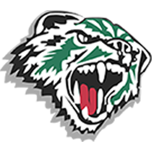 Worcester Wolverines