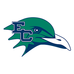 Endicott Gulls