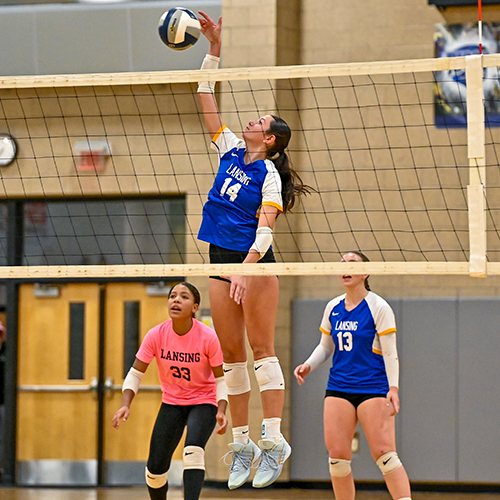 Volleyball: Jordan Brinkley, Lansing