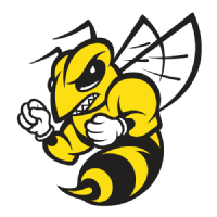 Randolph-Macon Yellow Jackets