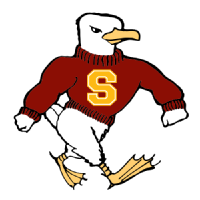Salisbury Sea Gulls