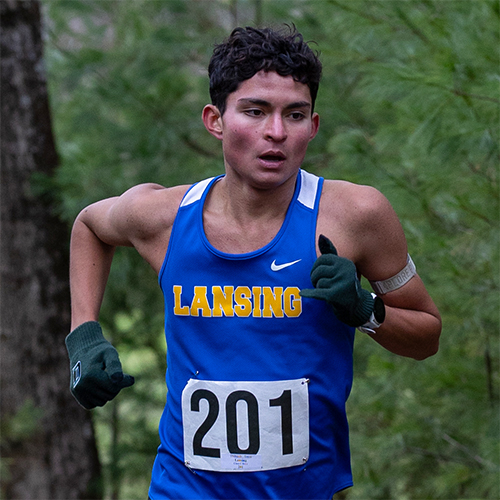 Scholar-Athlete (Male): Trent Thibault, Lansing
