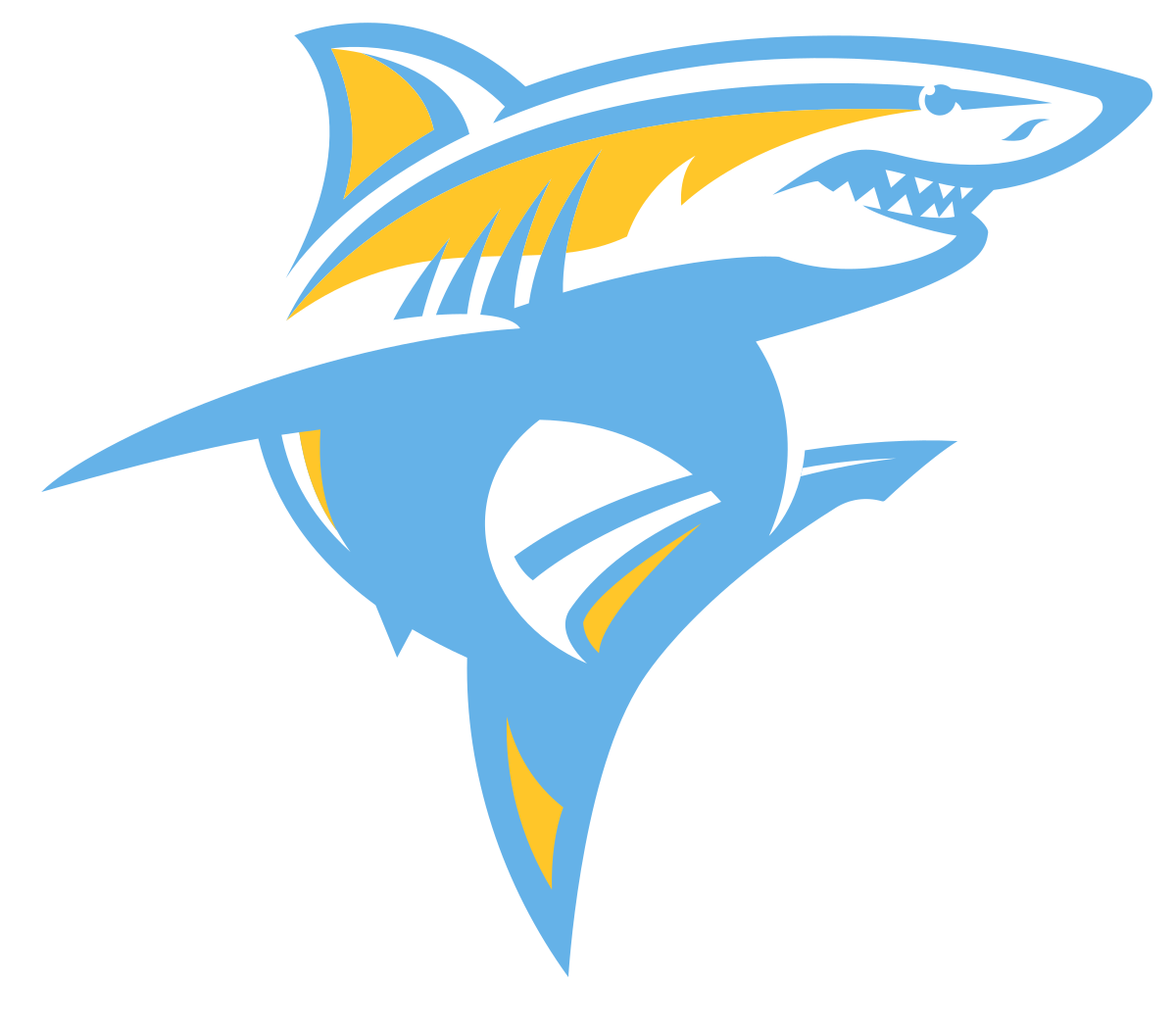 Long Island University