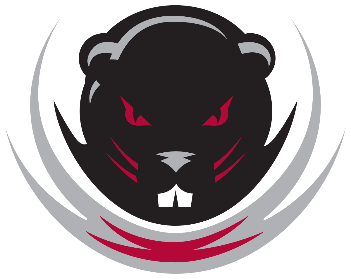 Massachusetts Institute Of Technology Engineers