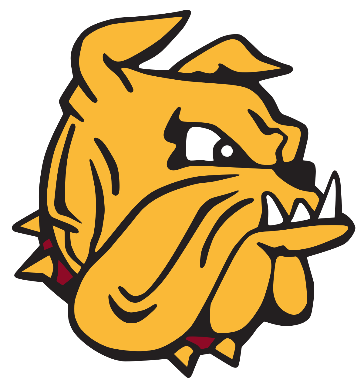 University of Minnesota Duluth Bulldogs