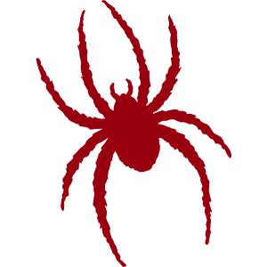 University of Richmond Spiders