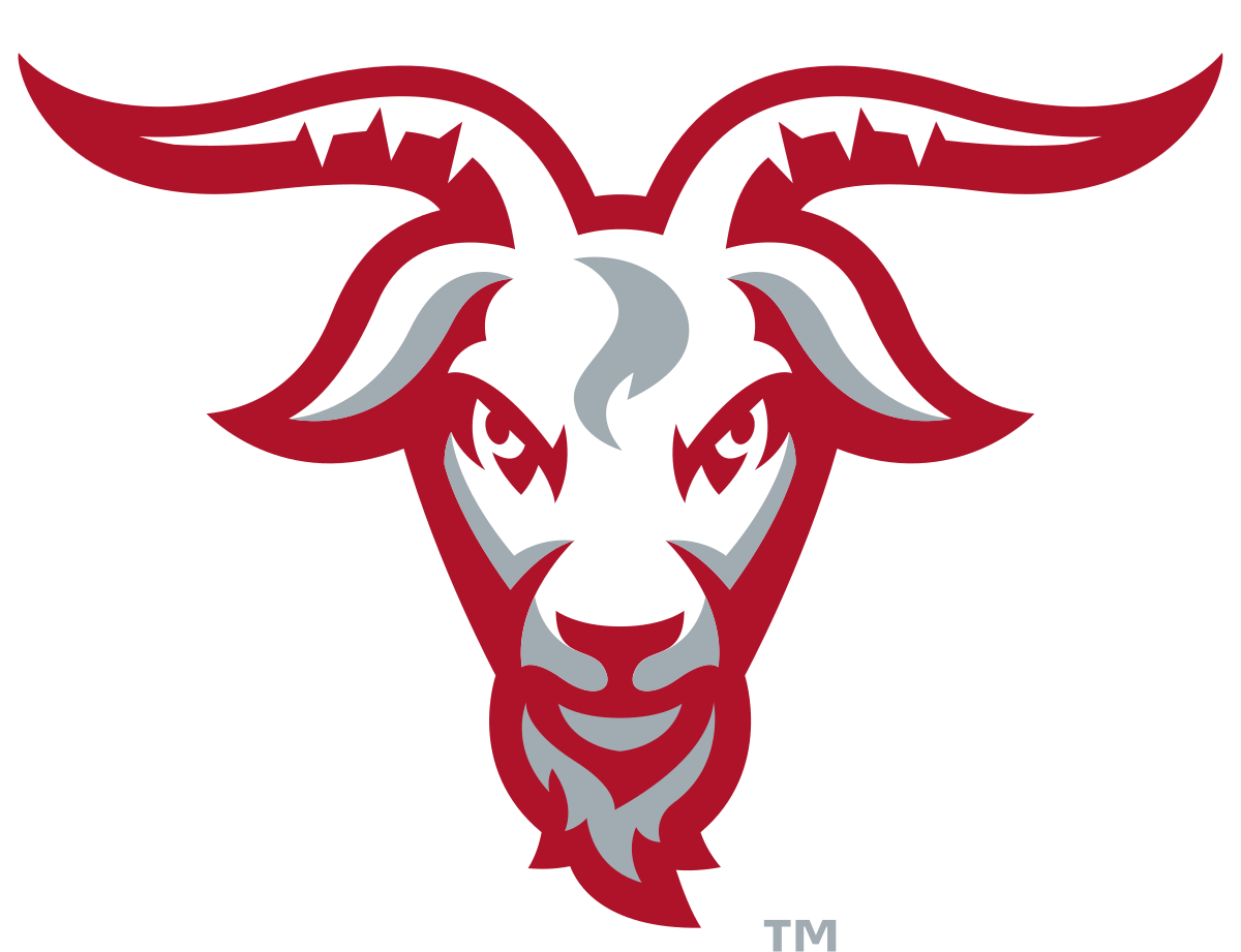 Worcester Polytechnic Institute Engineers