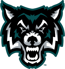 Arkport-Canasarega Wolves